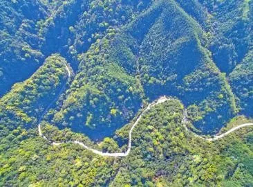 智能化，讓森林防火監(jiān)控管護(hù)更“智慧”
